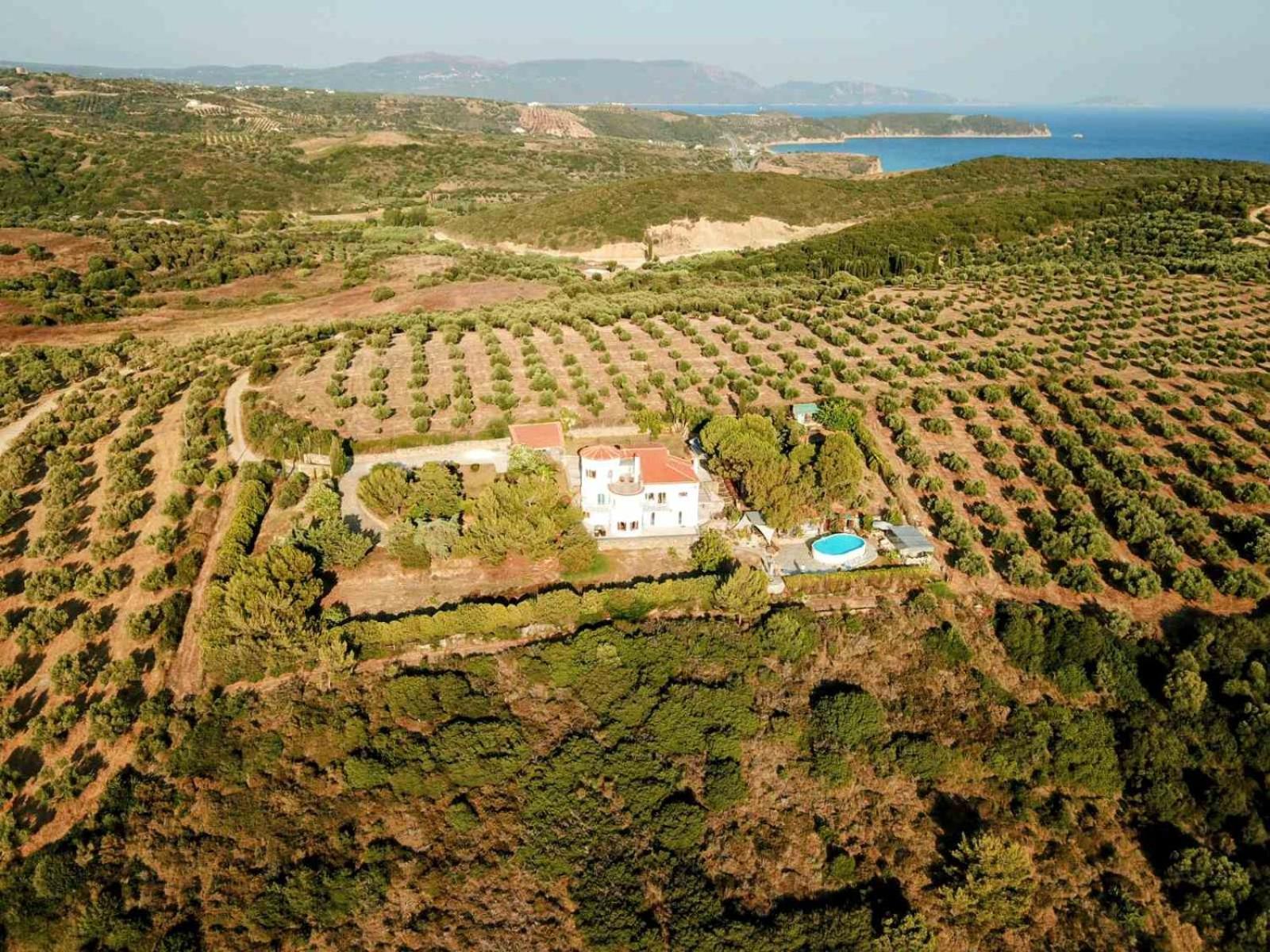 Charly Point Villa 迈索尼 外观 照片